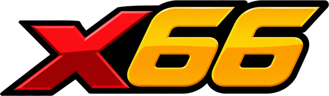 x66